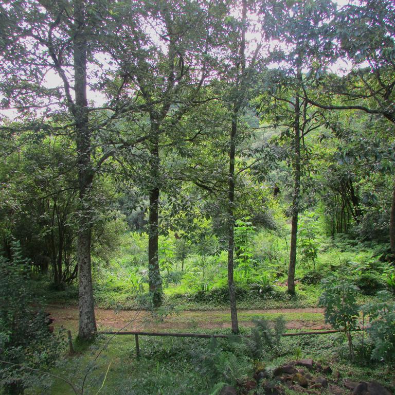 Old Pine Cabin Karkloof Yarrow Exterior photo
